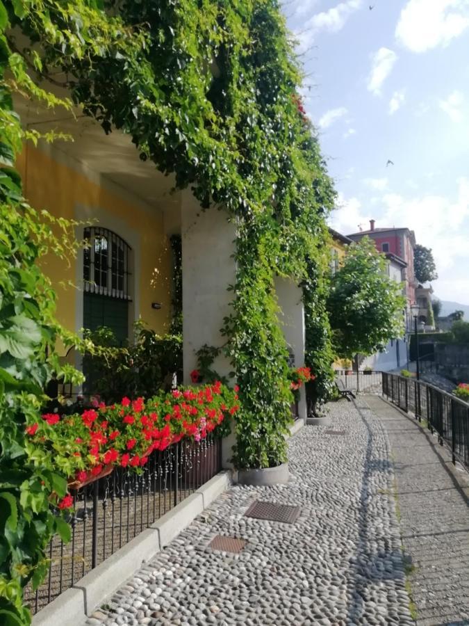 Viewtiful Homestay Stazzona Exterior foto